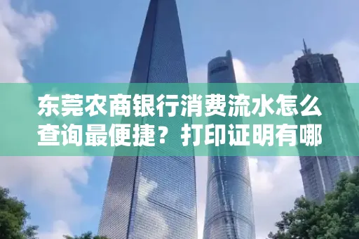 东莞农商银行消费流水怎么查询最便捷？打印证明有哪些风险需注意？