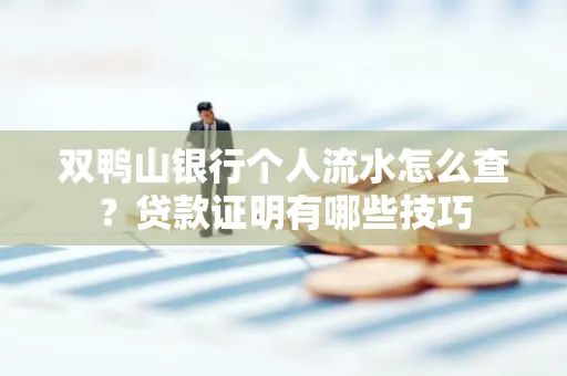 双鸭山银行个人流水怎么查?贷款证明有哪些技巧